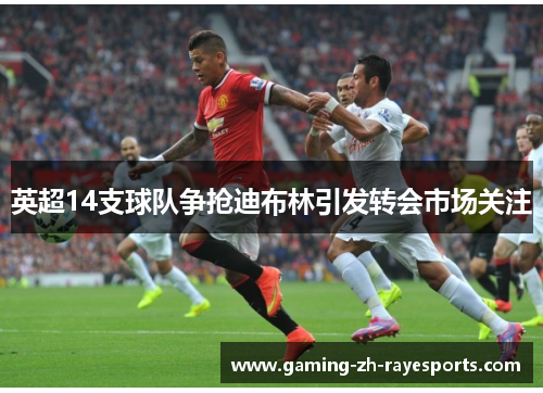 英超14支球队争抢迪布林引发转会市场关注
