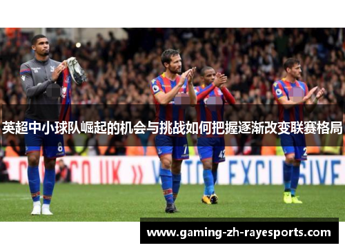 英超中小球队崛起的机会与挑战如何把握逐渐改变联赛格局