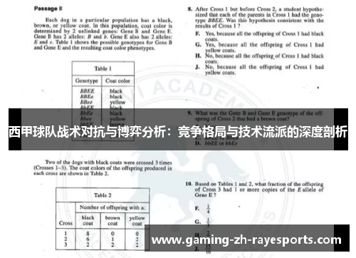 西甲球队战术对抗与博弈分析:竞争格局与技术流派的深度剖析 西甲球队战术对抗与博弈分析:竞争格局与技术流派的深度剖析