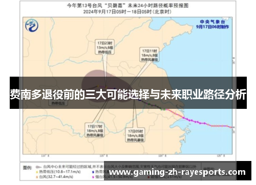 费南多退役前的三大可能选择与未来职业路径分析 费南多退役前的三大可能选择与未来职业路径分析
