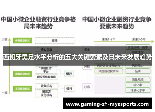西班牙男足水平分析的五大关键要素及其未来发展趋势